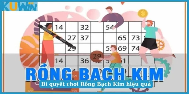 Tìm hiểu về Rồng Bạch Kim