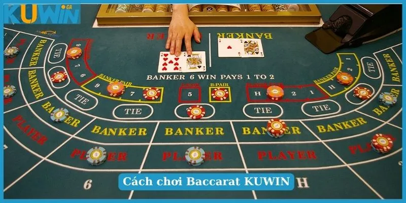 Baccarat KUWIN - Bật Mí Cách Chơi Chi Tiết Cho Người Mới 3 Các thuật ngữ trong trò chơi Baccarat KUWININ