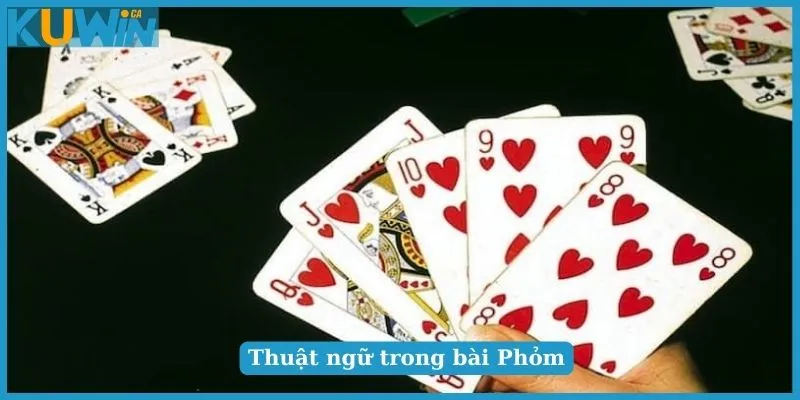 Cách Chơi Phỏm Chi Tiết Từ A Đến Z Chuẩn Xác Cho Newbie 5 Cách chơi Phỏm hay nhất dễ dàng thắng ăn tiền